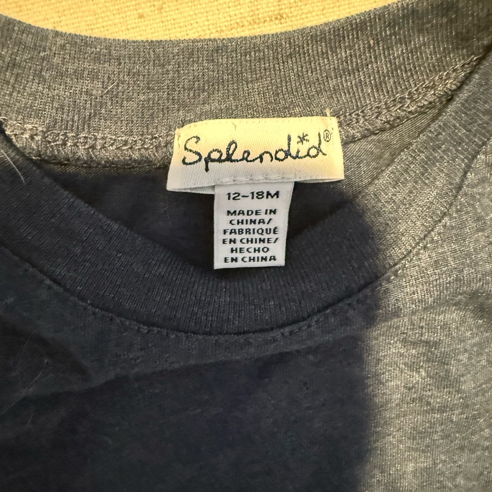 Splendid Charcoal Baby Tee